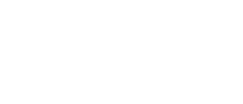 发展历程